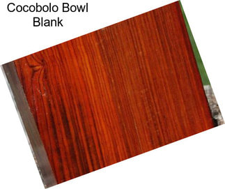 Cocobolo Bowl Blank