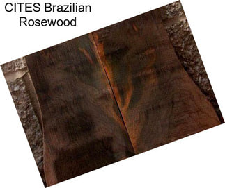 CITES Brazilian Rosewood