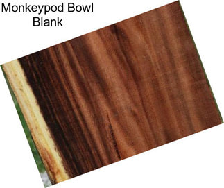 Monkeypod Bowl Blank