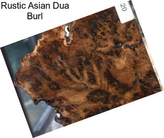 Rustic Asian Dua Burl
