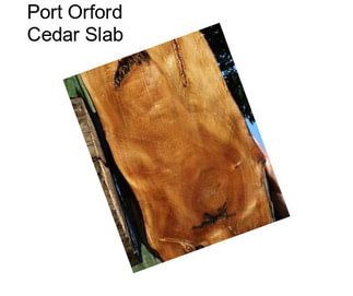 Port Orford Cedar Slab