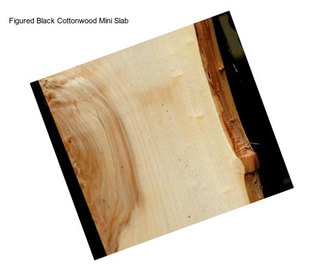 Figured Black Cottonwood Mini Slab