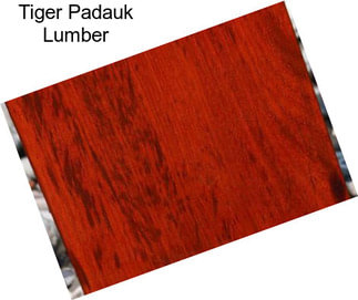 Tiger Padauk Lumber