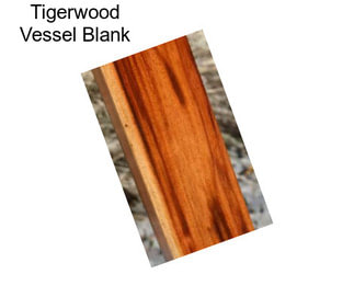 Tigerwood Vessel Blank