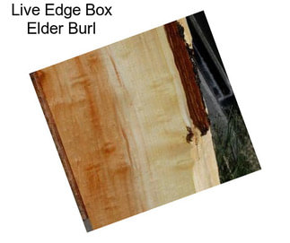 Live Edge Box Elder Burl