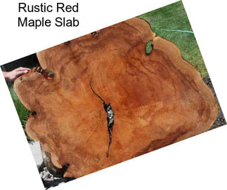 Rustic Red Maple Slab