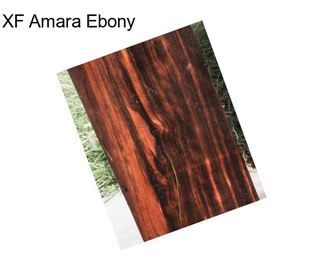 XF Amara Ebony