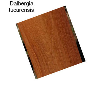 Dalbergia tucurensis