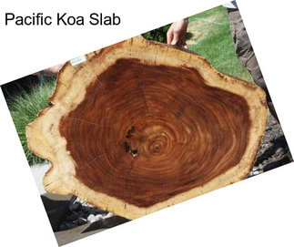 Pacific Koa Slab