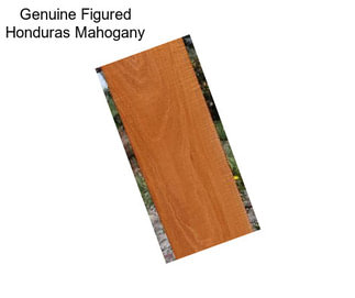 Genuine Figured Honduras Mahogany