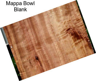 Mappa Bowl Blank