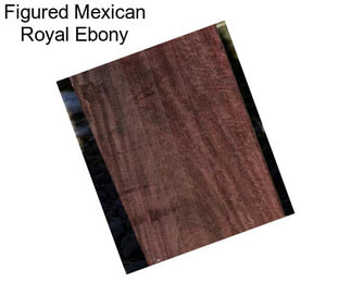 Figured Mexican Royal Ebony