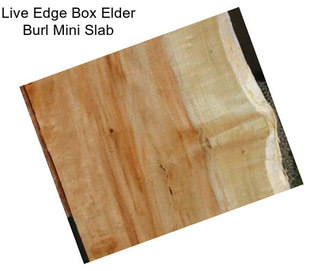 Live Edge Box Elder Burl Mini Slab