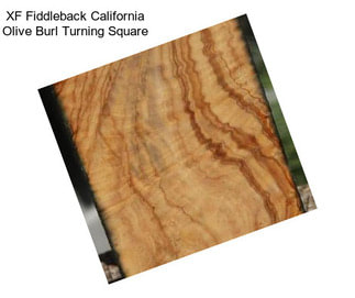 XF Fiddleback California Olive Burl Turning Square