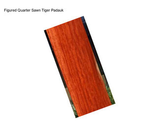 Figured Quarter Sawn Tiger Padauk