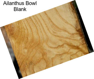 Ailanthus Bowl Blank