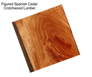 Figured Spanish Cedar Crotchwood Lumber