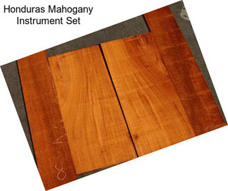 Honduras Mahogany Instrument Set