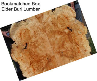 Bookmatched Box Elder Burl Lumber