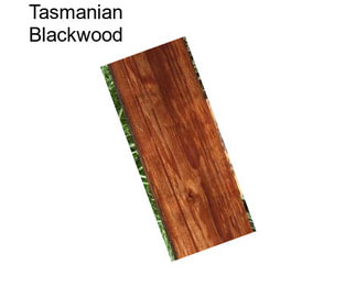 Tasmanian Blackwood