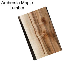 Ambrosia Maple Lumber