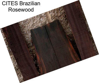 CITES Brazilian Rosewood