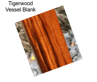 Tigerwood Vessel Blank