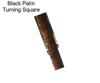 Black Palm Turning Square