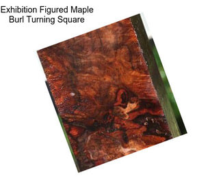 Exhibition Figured Maple Burl Turning Square