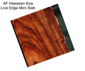 XF Hawaiian Koa Live Edge Mini Slab