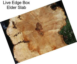 Live Edge Box Elder Slab