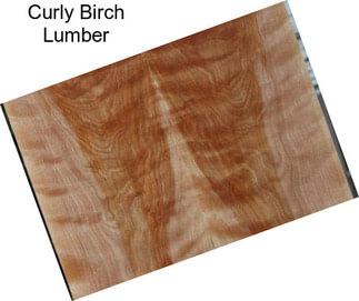 Curly Birch Lumber