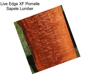 Live Edge XF Pomelle Sapele Lumber