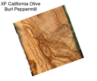 XF California Olive Burl Peppermill