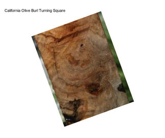 California Olive Burl Turning Square