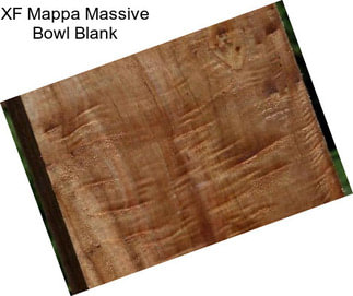 XF Mappa Massive Bowl Blank