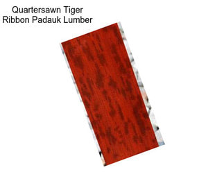 Quartersawn Tiger Ribbon Padauk Lumber