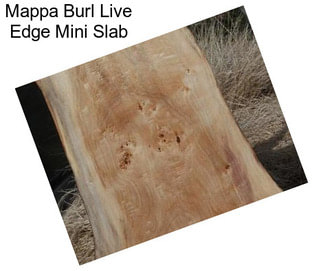 Mappa Burl Live Edge Mini Slab