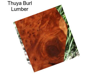 Thuya Burl Lumber