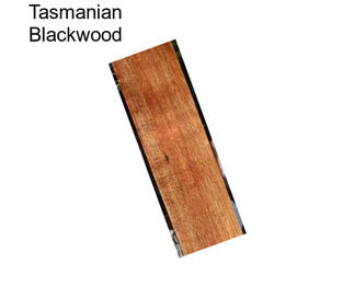 Tasmanian Blackwood