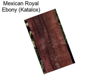 Mexican Royal Ebony (Katalox)