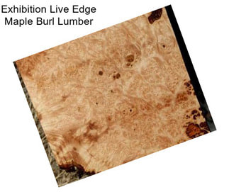 Exhibition Live Edge Maple Burl Lumber