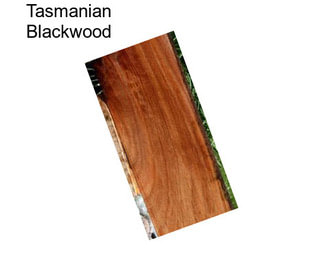 Tasmanian Blackwood