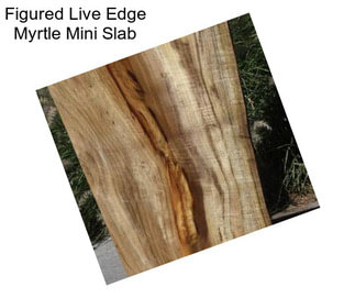 Figured Live Edge Myrtle Mini Slab