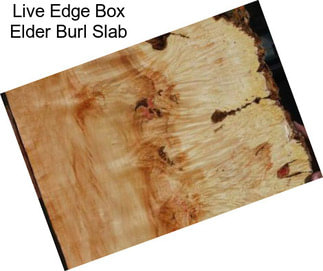 Live Edge Box Elder Burl Slab