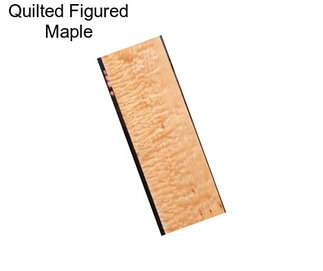 Quilted Figured Maple