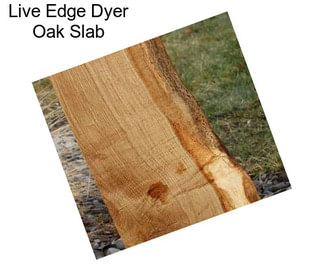 Live Edge Dyer Oak Slab