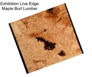 Exhibition Live Edge Maple Burl Lumber