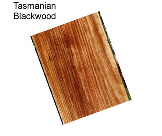 Tasmanian Blackwood