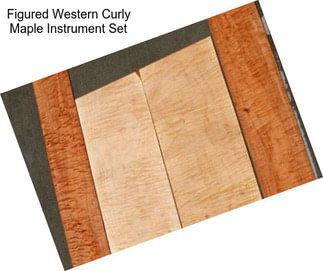 Figured Western Curly Maple Instrument Set